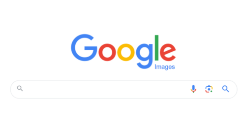 screenshot of google images search bar.